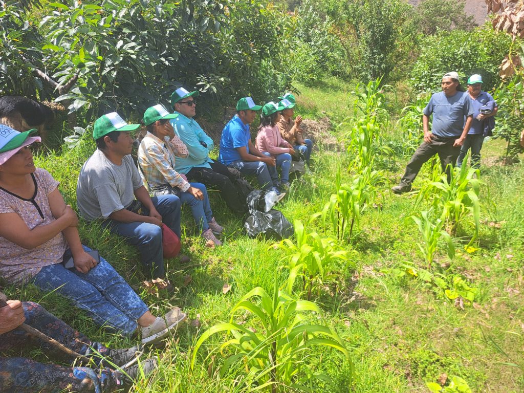 agricultura sostenible en ayas