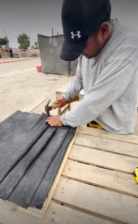 Trampas de oviposición preparación